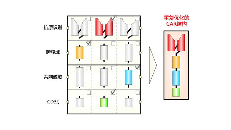 CAR结构功能验证平台