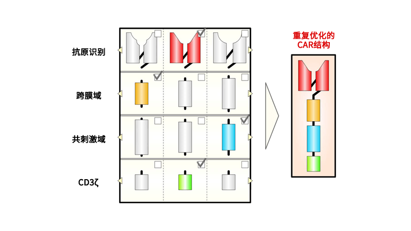 CAR结构功能验证平台